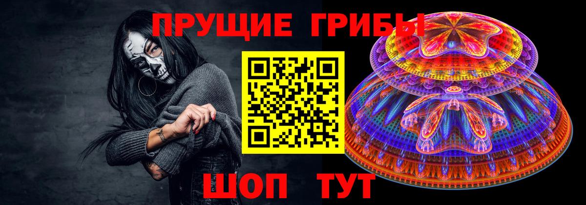 Галлюциногенные грибы прущие грибы Великие Луки