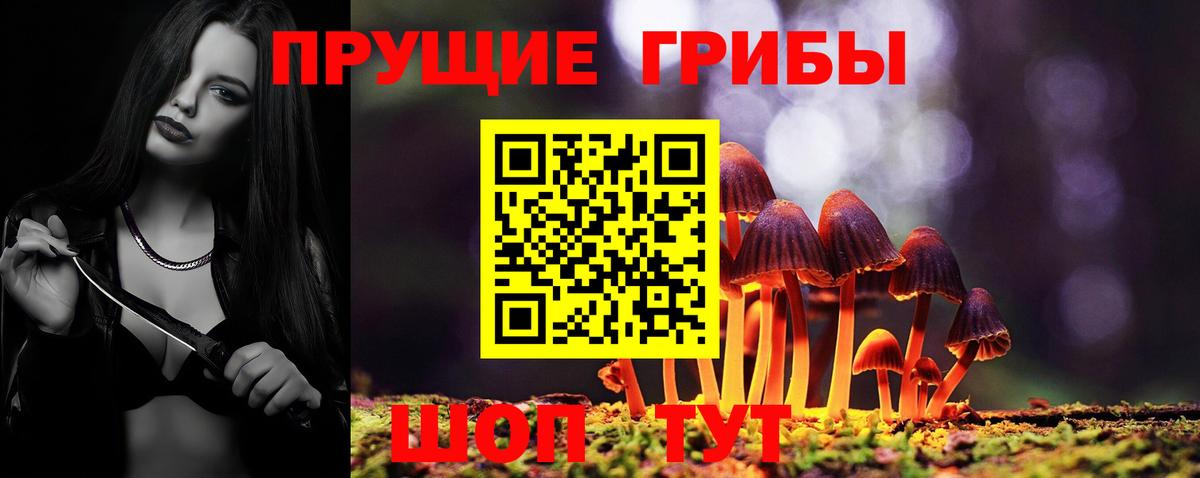 Великие Луки  цена   Вход с VPN  Псилоцибиновые грибы MAGIC MUSHROOMS 